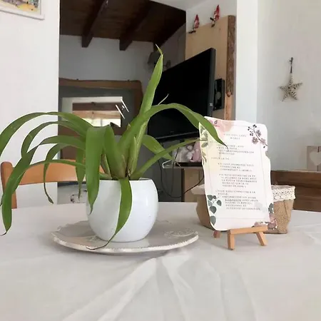 Maison De Village Aux Portes De Toulouse * Fenouillet (Haute-Garonne)