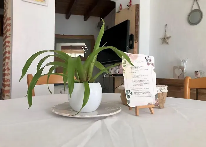 Maison De Village Aux Portes De Toulouse * Fenouillet (Haute-Garonne)