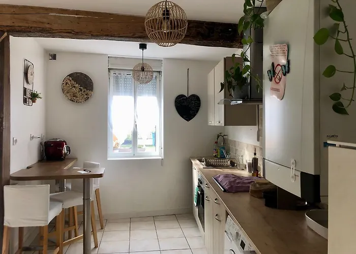 Maison De Village Aux Portes De Toulouse Fenouillet (Haute-Garonne)