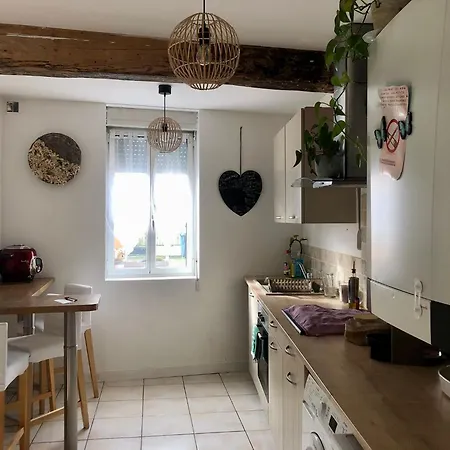 Maison De Village Aux Portes De Toulouse Fenouillet (Haute-Garonne)