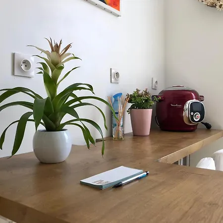 Maison De Village Aux Portes De Toulouse Hébergement de vacances